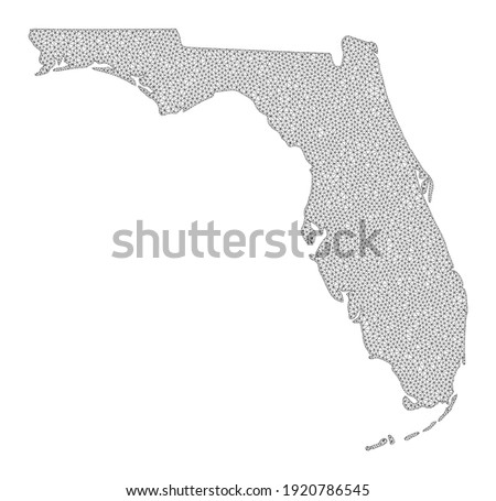 Polygonal mesh map of Florida State in high resolution. Mesh lines, triangles and dots form map of Florida State.