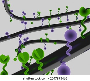 Polymer-drug Conjugates Are Drug Molecules Held In Polymer Molecules, Which Act As The Delivery System For The Drug 3D Rendering