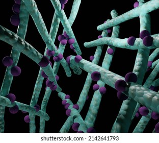 Polymeric Electrospun Nanofibers Containing Conjugated Nanodrug For Controlled Drug Release 3d Rendering