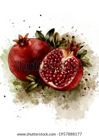 Pomegranate Art Print, Fruit Watercolor Painting, Kitchen Wall art, Watercolor Fruit Print