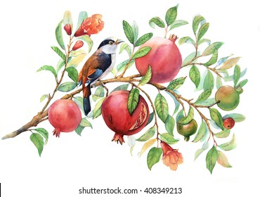 Pomegranate Branch Watercolor 