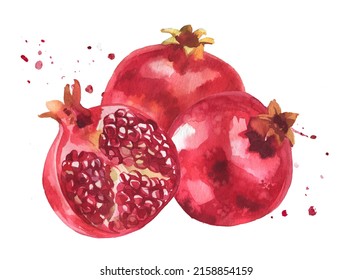 Pomegranate illustration. Watercolor fruits painting. Italian garden fruit. Pomegranate smell, aroma, taste concept for product design isolated  on white. Natural food themed clipart.