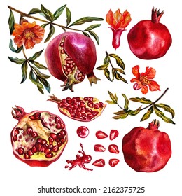 Pomegranate set. Pomegranate fruit on a branch, open pomegranate, pomegranate flowers. Watercolor illustration.