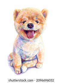 Pomeranian dog, digital painting on white.