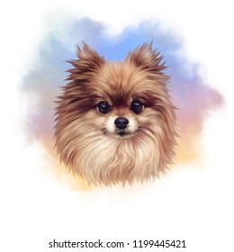 Pomeranian. Illustration Of A Handsome Puppy On Watercolor Background. Cute Spitz. Small Toy Dog Breeds. Hand Drawn Portrait. Watercolor Animal Collection: Dogs. Good For Print T-shirt, Banner, Card