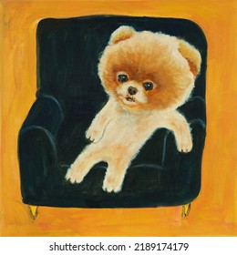 A Pomeranian Sitting On A Navy Blue Sofa. Bear Cut. Brown Background. Cute Puppy. Acrylic Paint. Handwork.