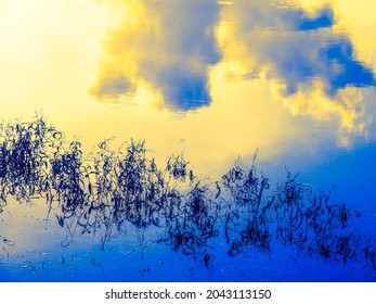 Pond reflecting large clouds at sunset, in shades of yellow and blue, with emergent aquatic plants and here and there a few raindrop rings on its surface. Digital painting effect, 3D rendering.