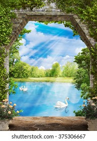 The Pond With Swans