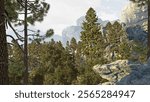 Ponderosa pine forest in the Sierra Nevada