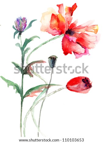 Similar – Image, Stock Photo Flowering poppy