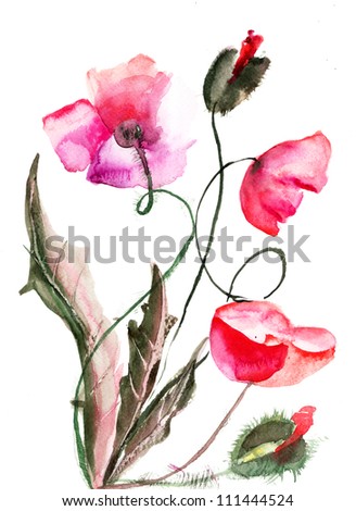 Similar – Image, Stock Photo poppy Plant Old