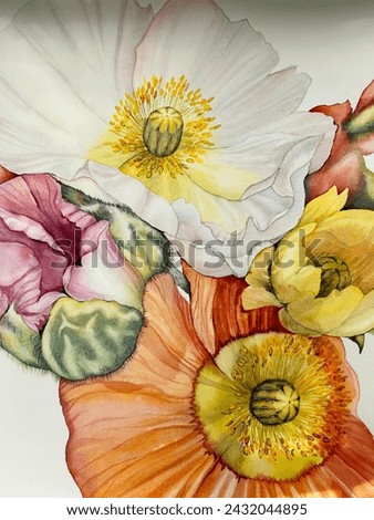 Poppy flowers, watercolor illustration. Floral botanical bouquet. Print, poster, decor, wallpaper. Gouache paint, oil painting. Hand drawn beautiful picture.Red, pink, yellow, orange, multicolor poppy