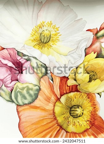 Poppy flowers, watercolor illustration. Floral botanical bouquet. Print, poster, decor, wallpaper. Gouache paint, oil painting. Hand drawn beautiful picture.Red, pink, yellow, orange, multicolor poppy