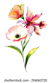 Poppy Lily Flowers Watercolor Illustration Stock Illustration 296063720 ...