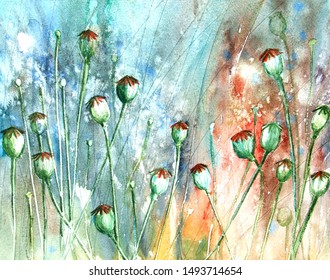 Chinese Poppy Images Stock Photos Vectors Shutterstock