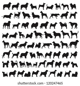 Popular Dog Species in silhouettes
