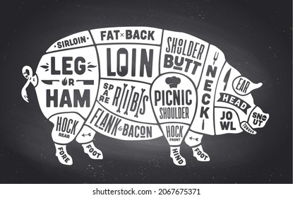 Pork, Pig. Scheme, Diagram, Chart Pork, Butcher Guide. Vintage Retro Print, Art Typography. Black-white Chalk Graphic Design On Chalkboard. Poster Pig For Butcher Meat Shop. Illustration