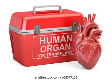 13,565 Heart transplant Images, Stock Photos & Vectors | Shutterstock