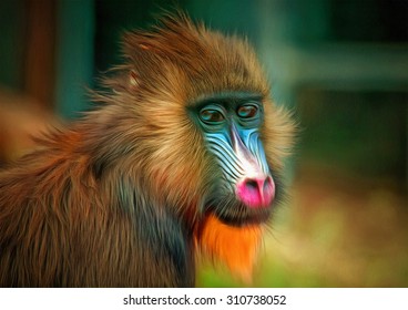 マンドリル の画像 写真素材 ベクター画像 Shutterstock