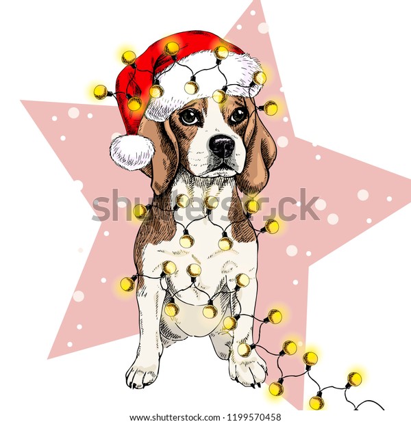 サンタハットのクリスマスライトガーランドを着たビーグル犬のポートレート 星と雪の上に スケッチカラーイラスト クリスマス クリスマス 新年 パーティーの飾り付け プロモーション グリーティングカード のイラスト素材