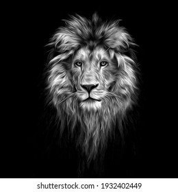 Portrait of a Beautiful lion, lion in the dark, oil paints.