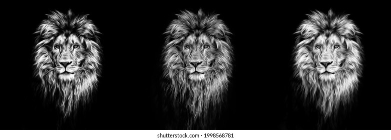 Portrait of a Beautiful lion, lion in the dark, oil paints, soft lines - Powered by Shutterstock