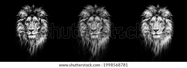Portrait of a Beautiful lion, lion in the dark, oil\
paints, soft\
lines