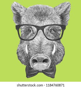 Portrait Of Boar With Glasses And Bow Tie, Hand-drawn Illustration