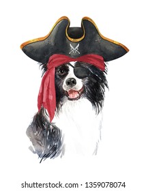 Portrait border collie of a dog. Watercolor hand drawn illustration.Watercolor border collie with Pirate blindfold and Pirate hat layer path, clipping path isolated on white background.