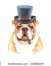 Portrait bulldog of a dog. Watercolor hand drawn illustration.Watercolor bulldog with Top hat and Cigar layer path, clipping path isolated on white background.