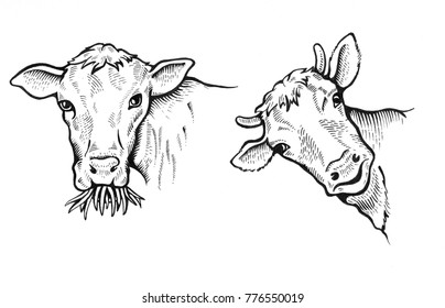 Cow Face Images Stock Photos Vectors Shutterstock