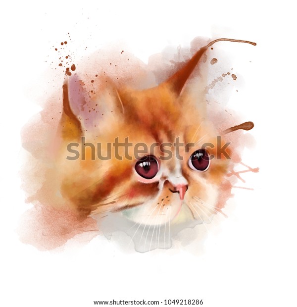 Portrait Cat Breed Exotic Shorthair Exotic Stock Illustration