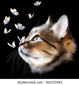 Chat Papillon Images Photos Et Images Vectorielles De Stock Shutterstock