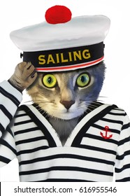 cat marine hat