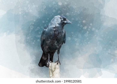 Portrait of a Crow bird, watercolor painting