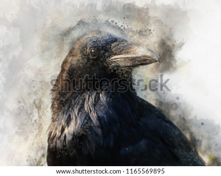Portrait of a Crow bird, watercolor painting