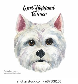 犬 イラスト 顔 正面 Hd Stock Images Shutterstock