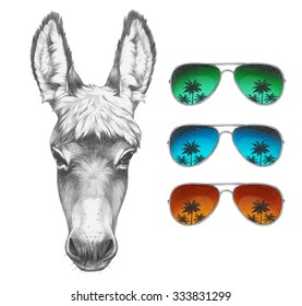 Portrait of Donkey with mirror sunglasses. Hand drawn illustration.