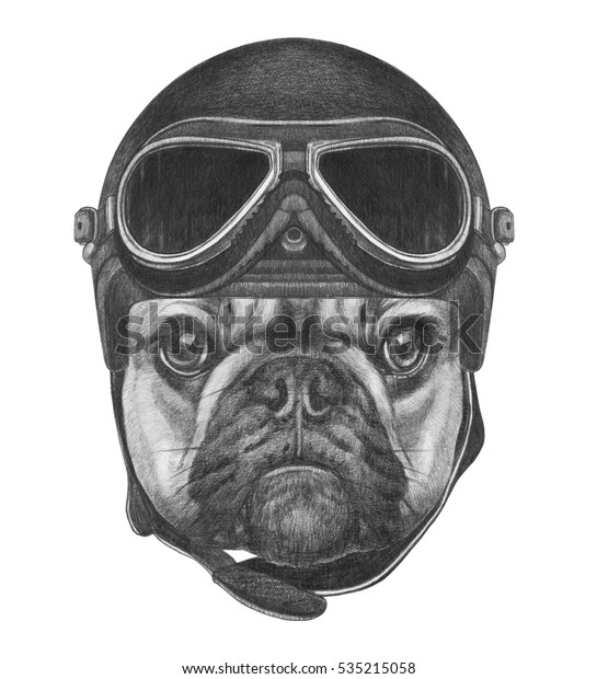 Portrait French Bulldog Helmet Hand Drawn Stock Illustration 535215058 ...