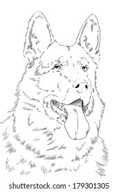 Portrait German Shepherd Pencil Drawing Stock Illustration 179301305