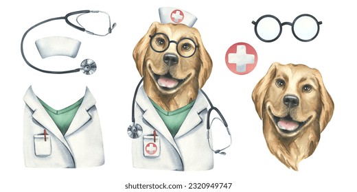 Portrait of a golden retriever dog in a doctor's costume. Watercolor illustration. An isolated object from the VETERINARY collection. For the design and design of advertising clinics, pharmacies. - Powered by Shutterstock