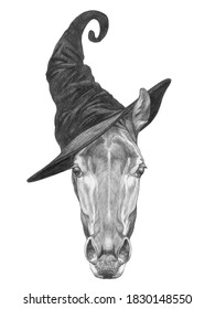 witch hat for horse