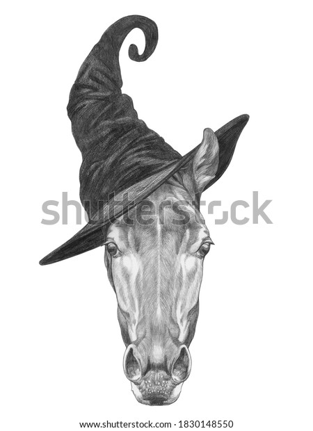 horse witch hat