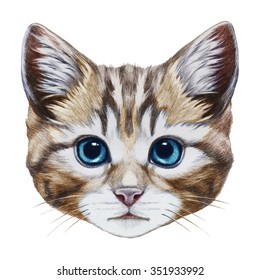 Portrait of Kitten. Hand-drawn illustration, digitally colored.