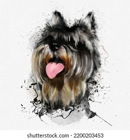 Portrait Of A Miniature Schnauzer Dog , Mixed Media