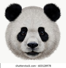 Portrait of a Panda bear wild animal realistic style