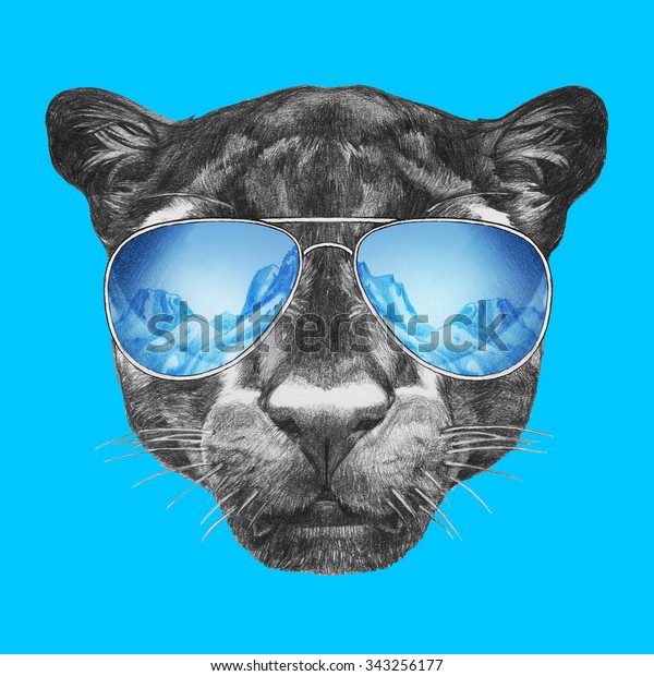 Portrait Panther Mirror Sunglasses Hand Drawn Stock Illustration ...