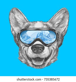 dog with ski goggles