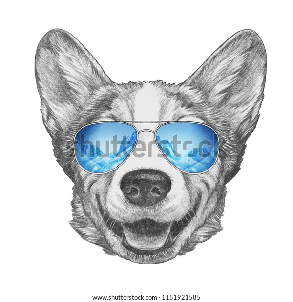 Portrait Pembroke Welsh Corgi Mirrored Sunglasses Stock Illustration ...