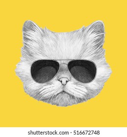 Portrait Persian Cat and sunglasses  Hand drawn illustration 